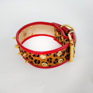 COLLAR JAGUAR