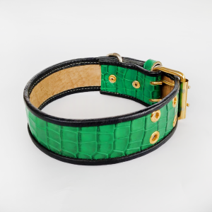 COLLAR EXOTICO VERDE